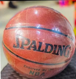 Spalding Basketball