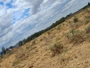Very Prime 1⁄8acre Plots in Maimahiu Karima Kwa Stock