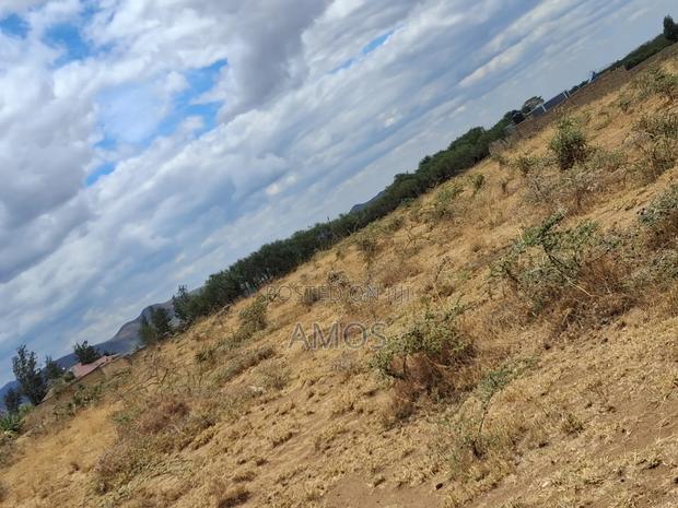 Very Prime 1⁄8acre Plots in Maimahiu Karima Kwa Stock