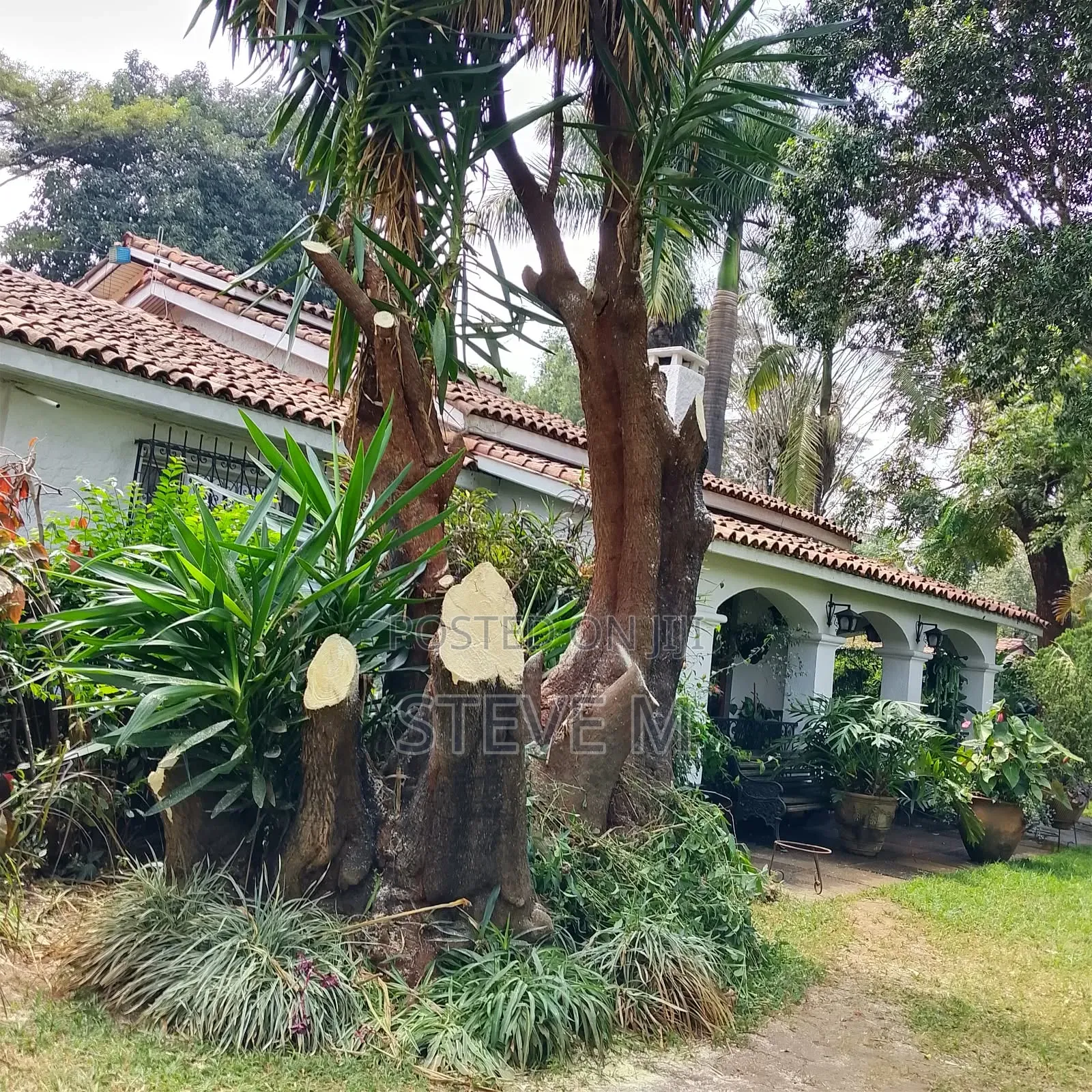 Arborist Available