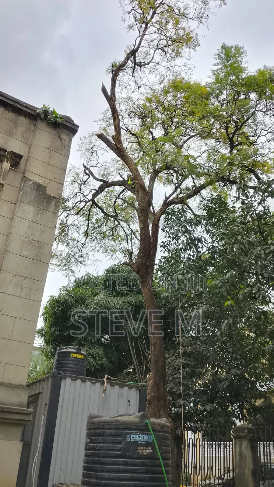 Arborist Available