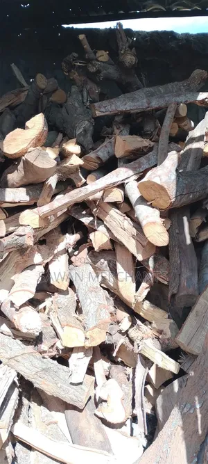 Dry Firewood for Sale