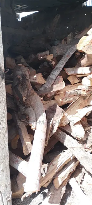 Dry Firewood for Sale