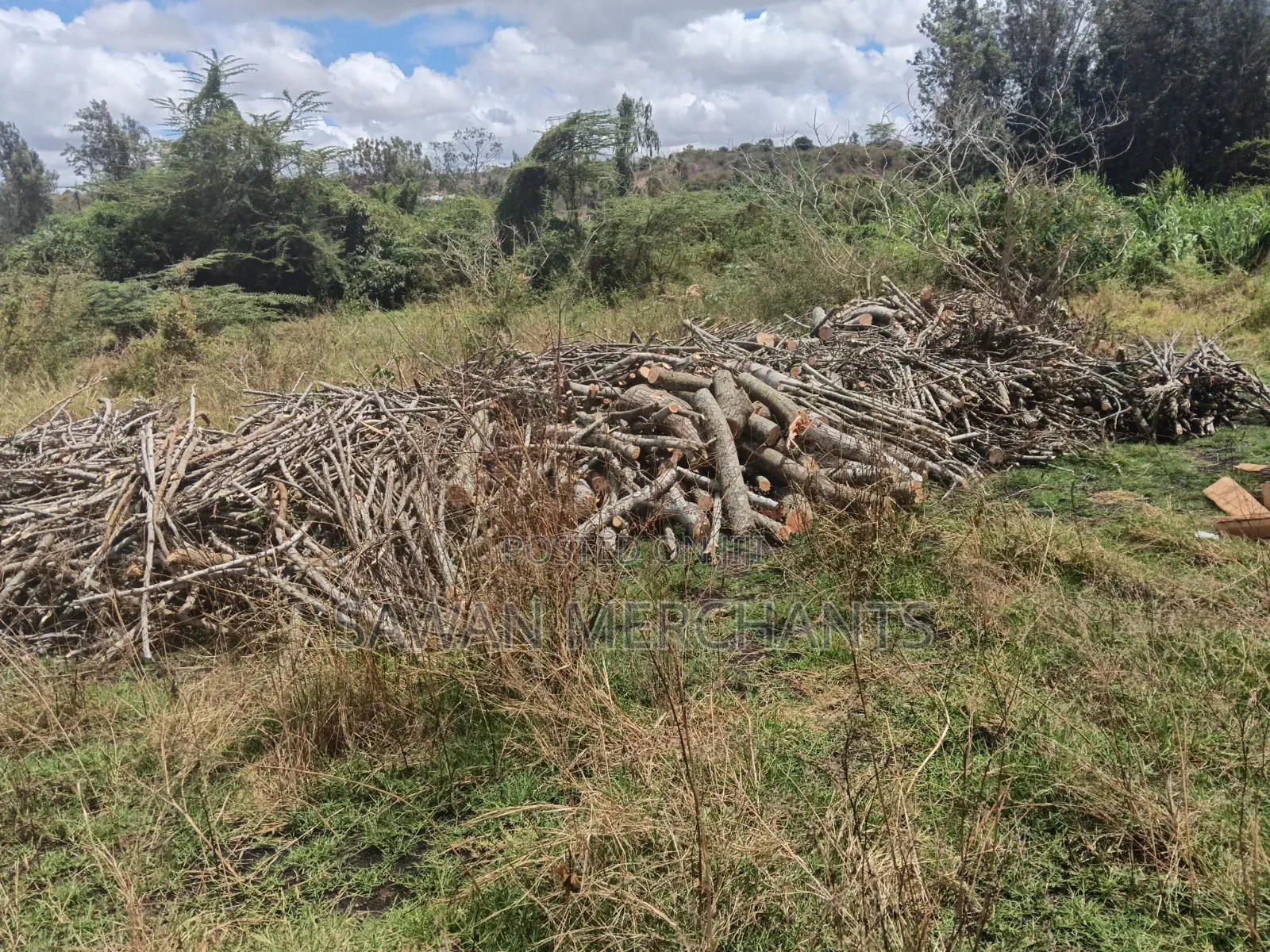 Dry Firewood for Sale
