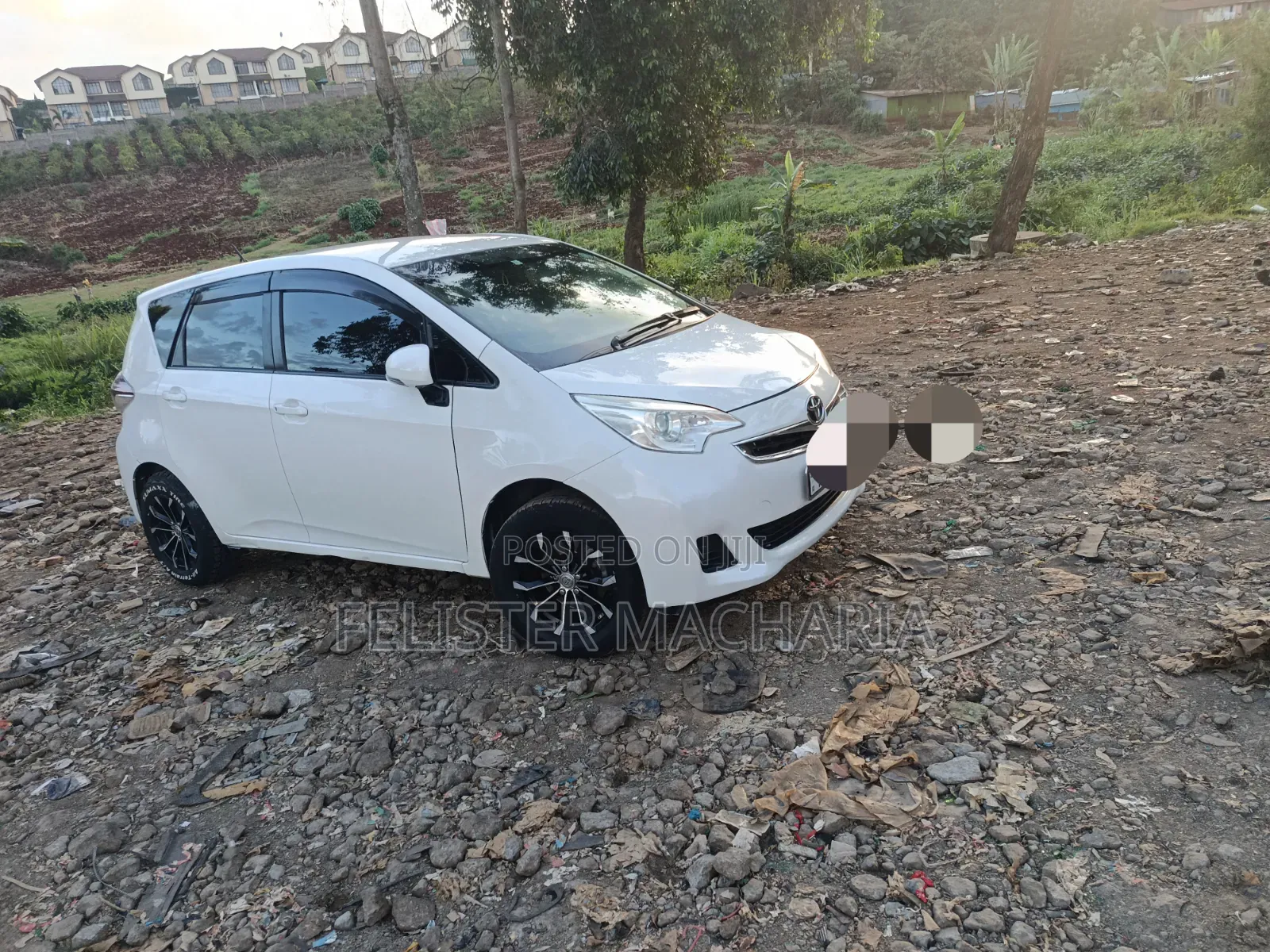 Toyota Ractis 2015 White