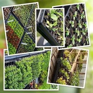 128 Cell Seed Starter Trays