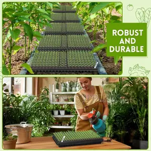 Seedling Trays for Every Gardener