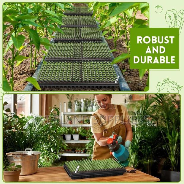 Seedling Trays for Every Gardener - main view
