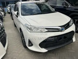 Toyota Corolla Fielder 2019 Off white