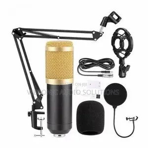 BProfessional Condenser Microphone, Which Adopts the Exacting Complete