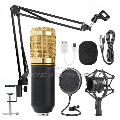 BProfessional Condenser Microphone, Which Adopts the Exacting Complete - thumbnail 2