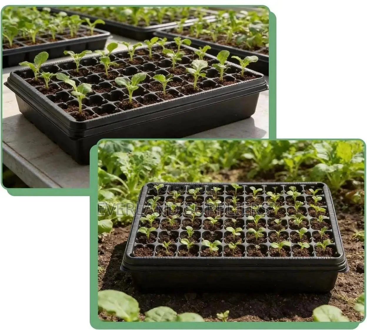 Lightweight Seedling Trays