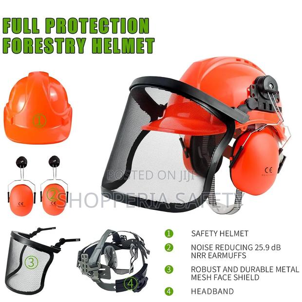 Forestry Combinatory Helmets - main view