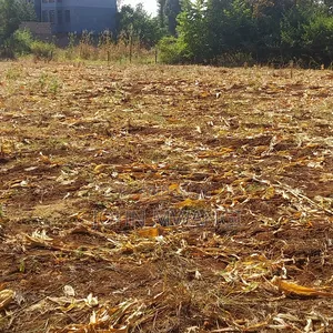 1/4 Acre Sagana