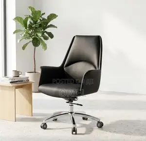 Office Chair : Executive Mid Back Everyday Use Office Chair