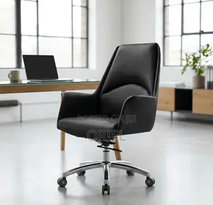 Office Chair : Executive Mid Back Everyday Use Office Chair