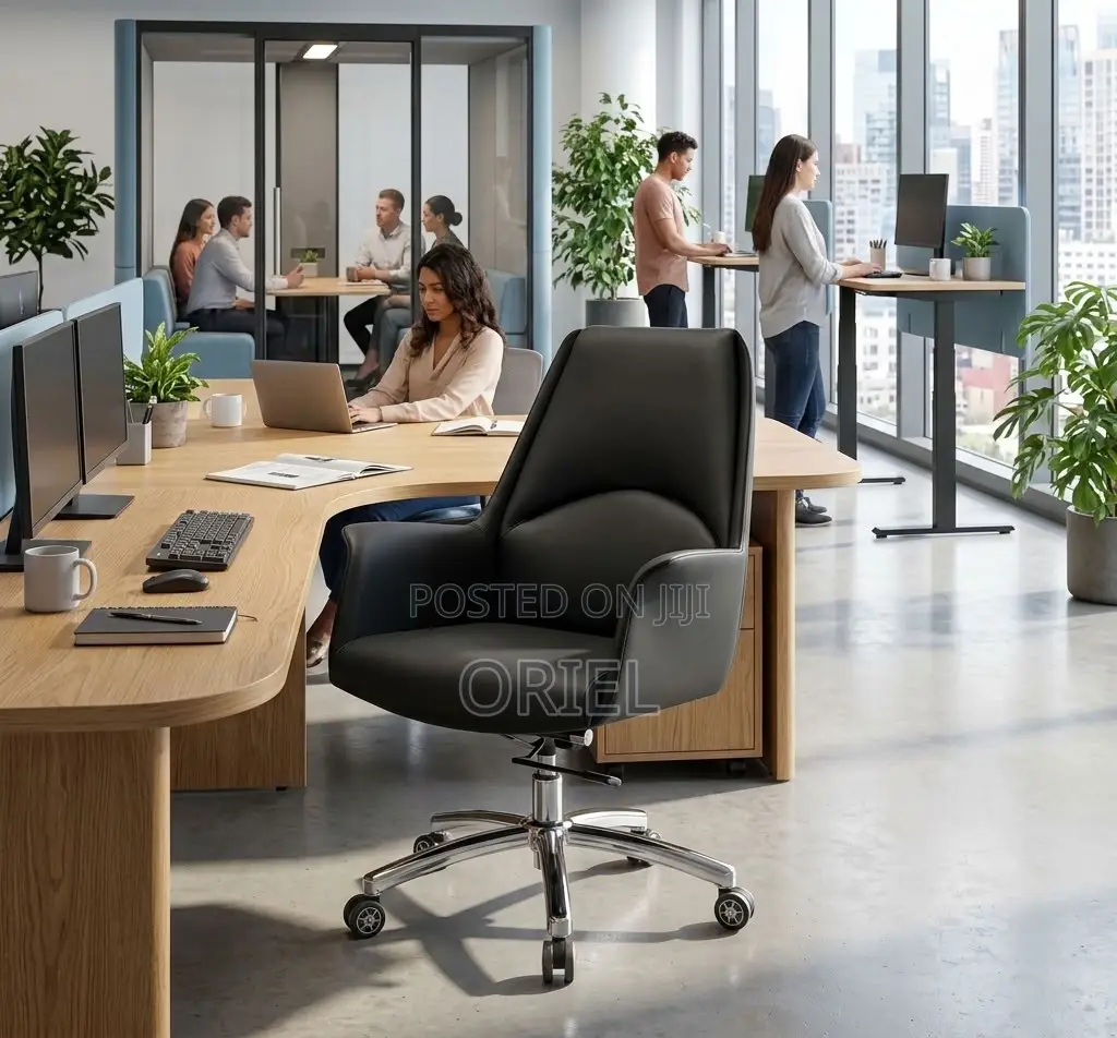 Office Chair : Executive Mid Back Everyday Use Office Chair