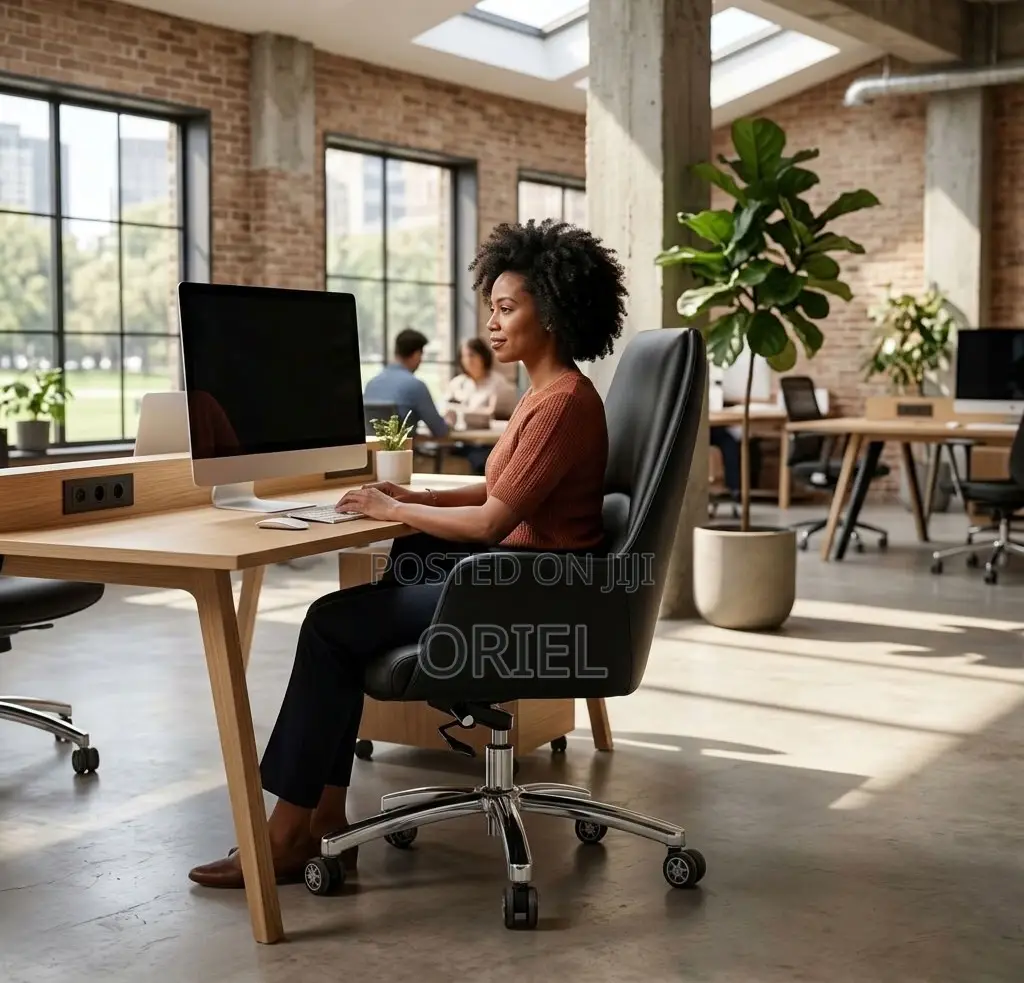 Office Chair : Executive Mid Back Everyday Use Office Chair