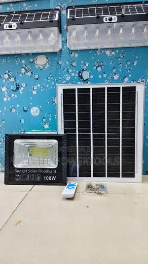 100W Budget Solar Floodlight