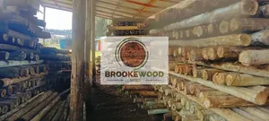 Treated Fencing Posts and Electricity Poles