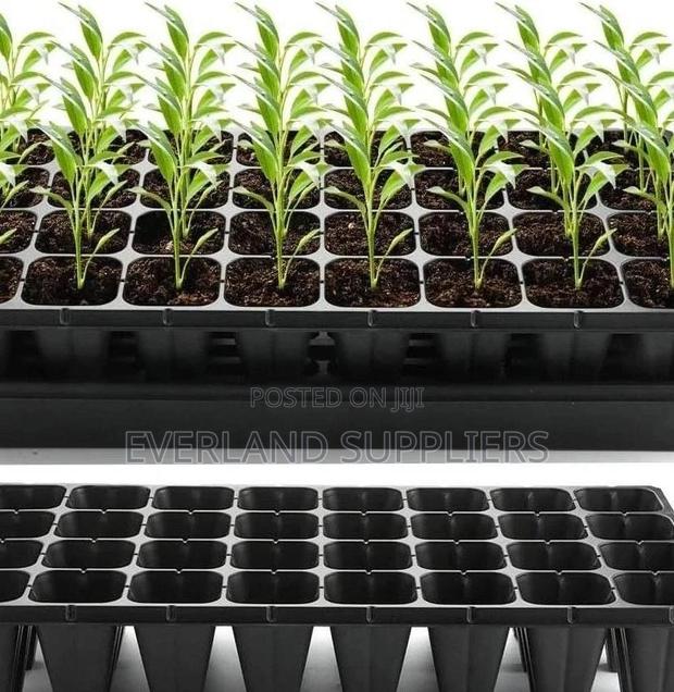 Space-Saving Seedling Trays - main view