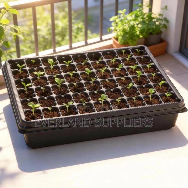 Vegetable Seedling Trays - main view