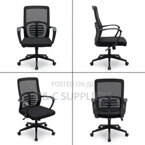 Ergonomic Study Chair-Swivel Base