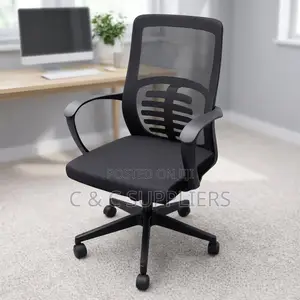 Ergonomic Study Chair-Swivel Base
