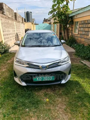 Toyota Corolla Fielder 2019 Silver