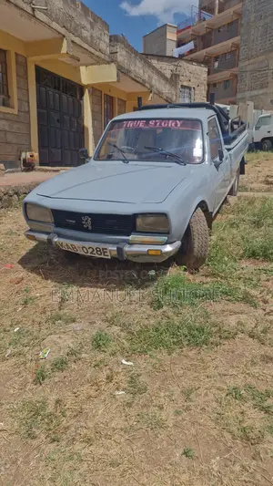Peugeot 504 1991 Gray
