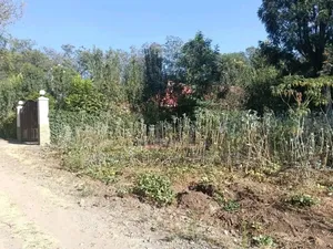 Prime Milimani Property for Sale