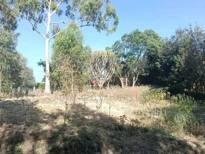 Prime Milimani Property for Sale