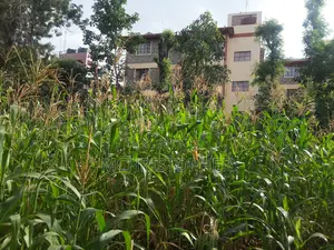 Prime One Eighth Commercial Plots in Ongata Rongai
