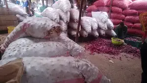 Big Size Potatoes(Shangi)