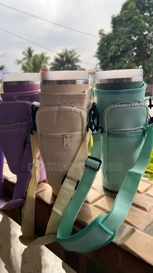 Stanley Mugs
