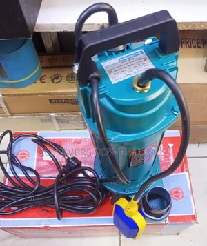 Premier 2hp QDX Water Pump