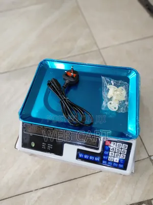 ACS 40KG Market Weighing Scale