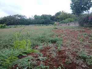 Prime Plot Kikambala
