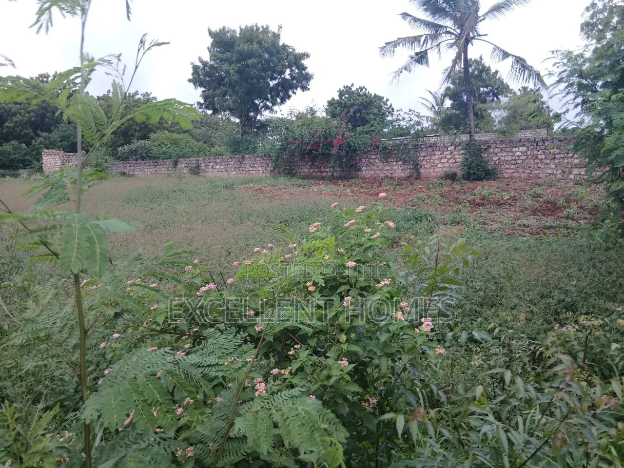 Prime Plot Kikambala