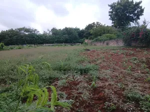 Prime Plot Kikambala