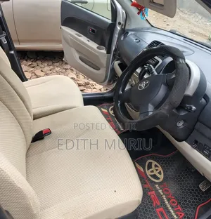 Toyota Passo 2009 Silver
