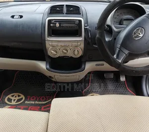 Toyota Passo 2009 Silver