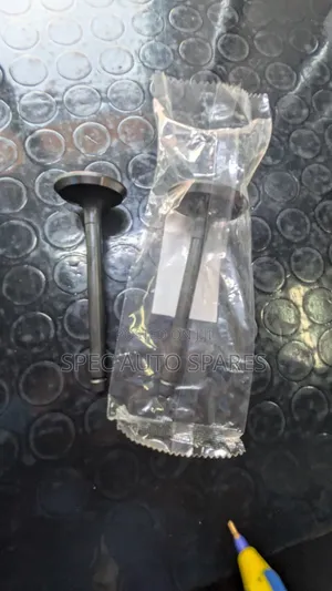 Inlet and Outlet Valve Land Cruiser 79 1HZ Engine