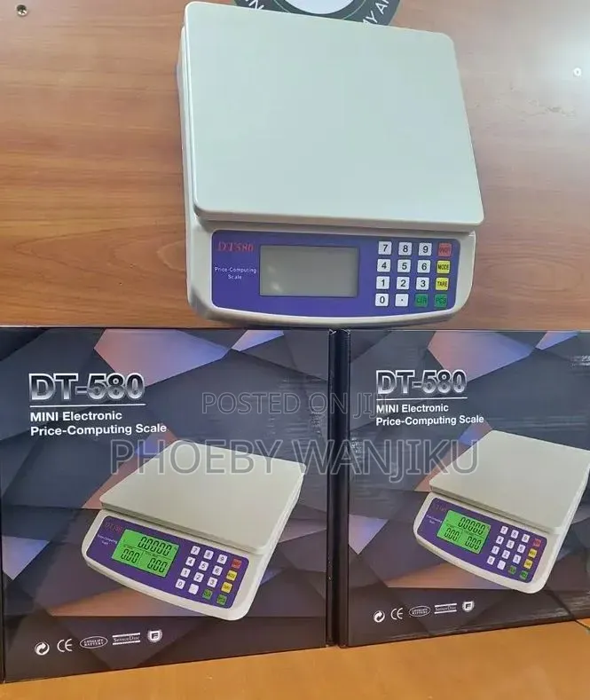 DT 580 Mini Electronic Price Computing Scale