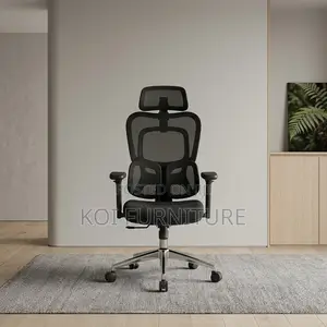 Office Chairs; Dual Backrest Executive Orthopedic Mesh Chair