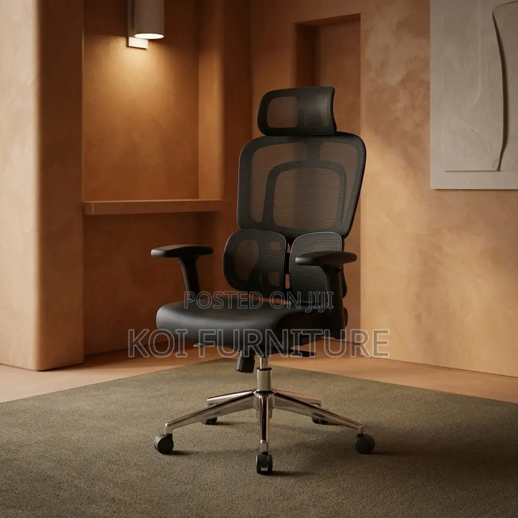 Office Chairs; Dual Backrest Executive Orthopedic Mesh Chair