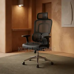 Office Chairs; Dual Backrest Executive Orthopedic Mesh Chair
