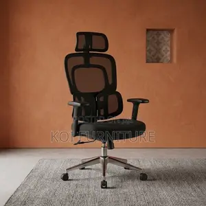 Office Chairs; Dual Backrest Executive Orthopedic Mesh Chair
