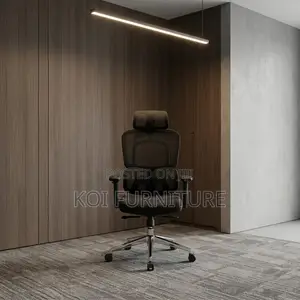 Office Chairs; Dual Backrest Executive Orthopedic Mesh Chair