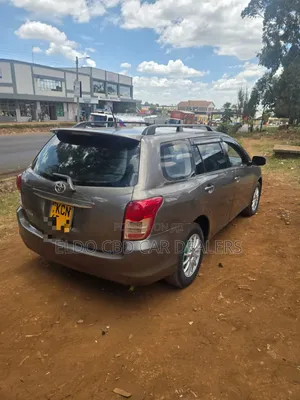 Toyota Corolla Fielder 2010 Gray